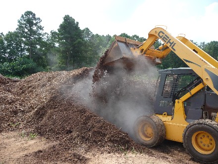 Web 2013-07-26 Tree Mulch Soil w Brett 027.jpg